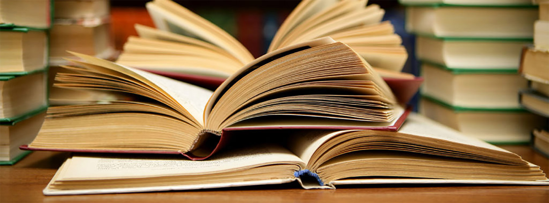 New Year Ushers in Reviews of Recent Publications